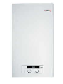 Газовый котел PROTHERM Рысь HK 24